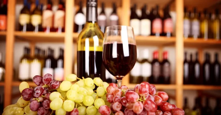 vinícolas em Mendoza para brasileiros