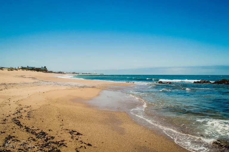 como ir de Montevidéu para Punta del Este