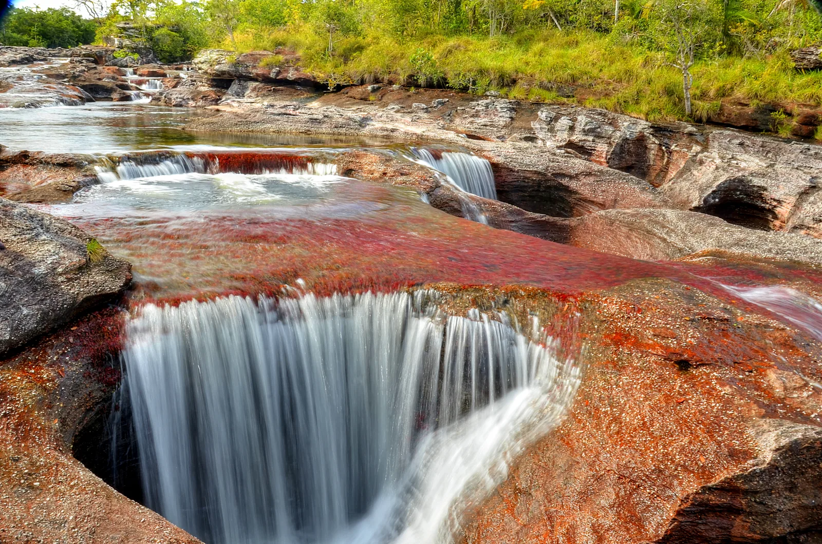 Formação Los Ochos no leito de rocha de Caño Cristales, Colômbia