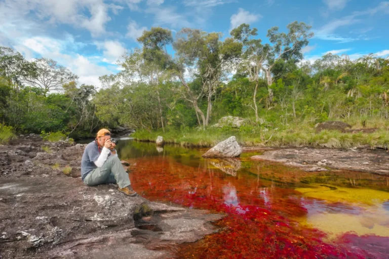 Caño Cristales com a planta Macarenia vermelha no leito do rio, Sierra de La Macarena, Colômbia
