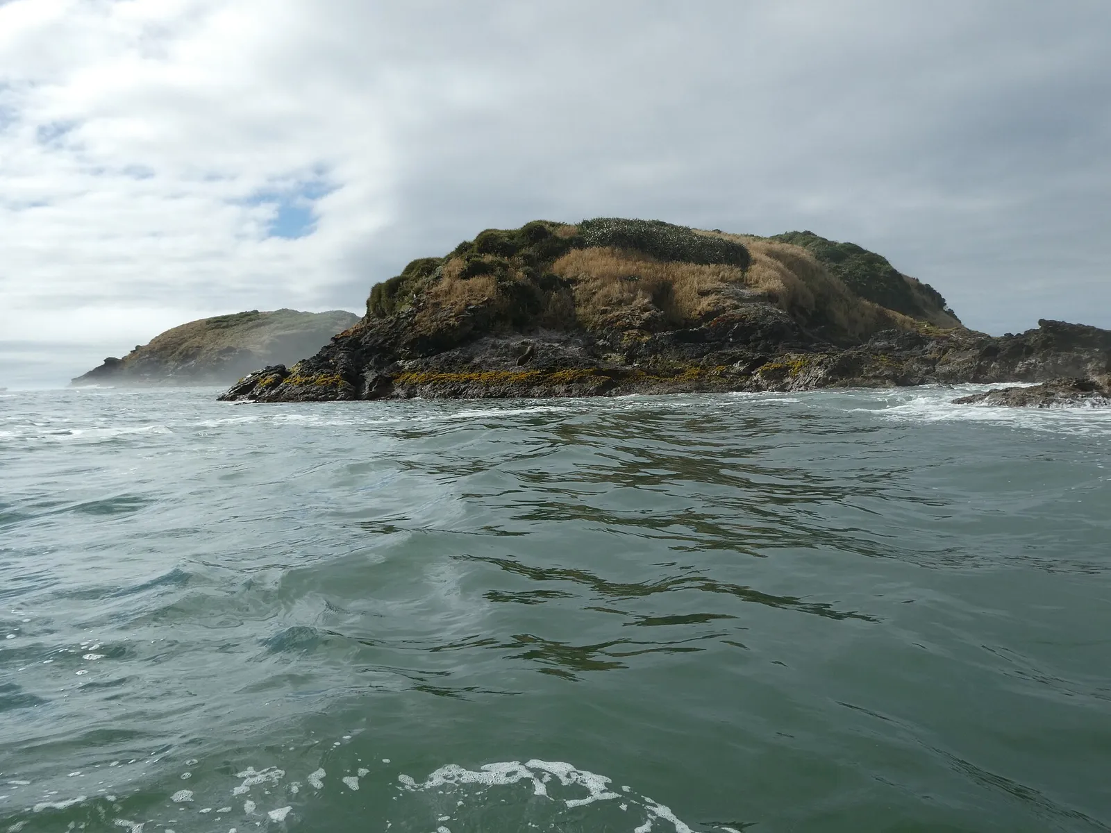 Islotes de Puñihuil vistos do barco, ilhotas cobertas de vegetação no Pacífico, perto de Ancud, em Chiloé