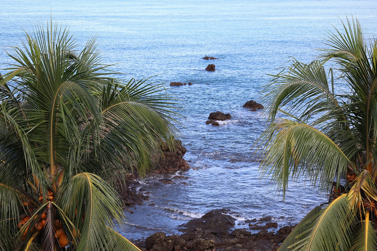 Nuquí e Bahía Solano: como ir, baleias e Utría
