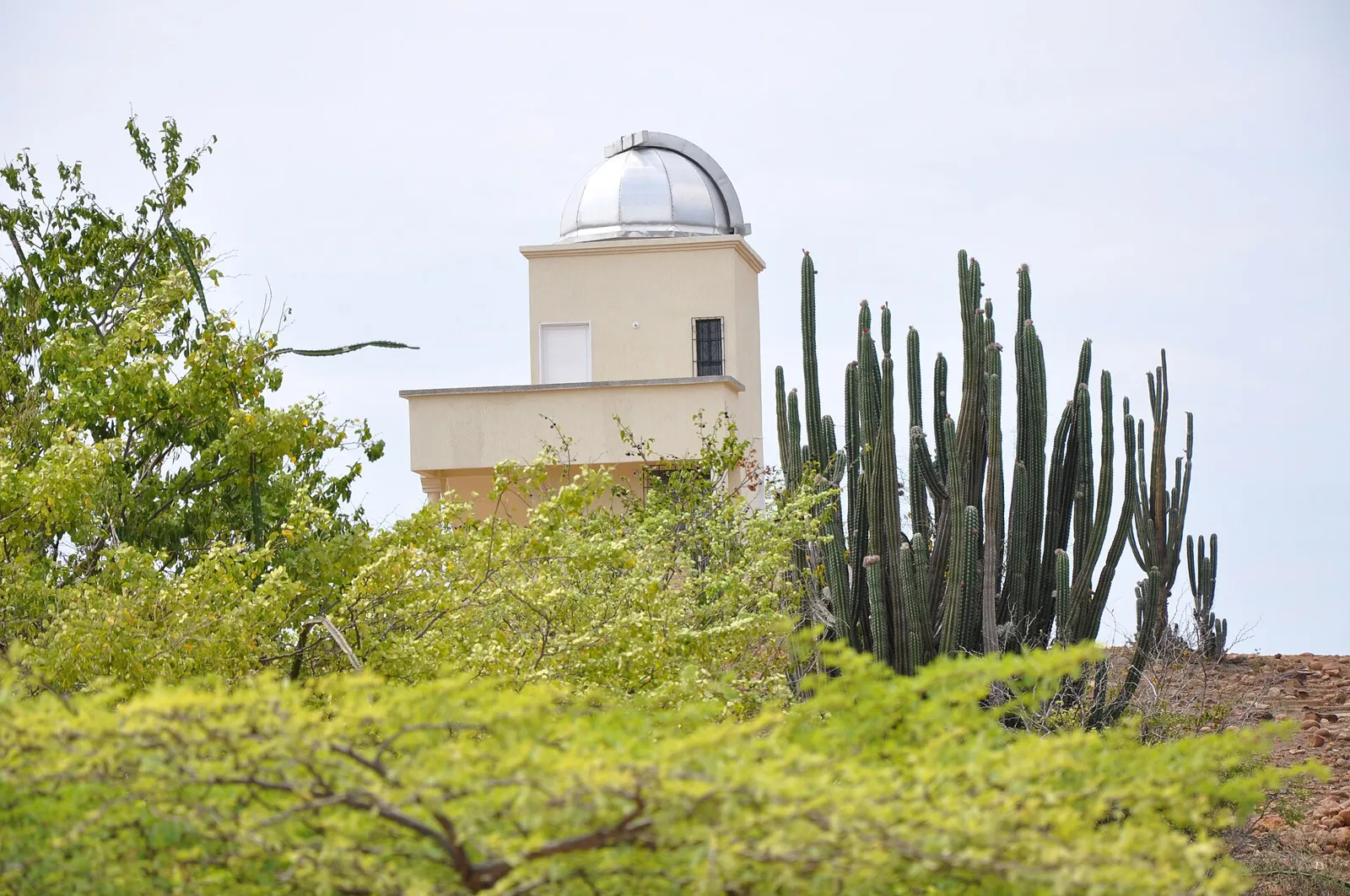 Cúpula branca do observatório astronômico do deserto da Tatacoa entre cactos e vegetação seca