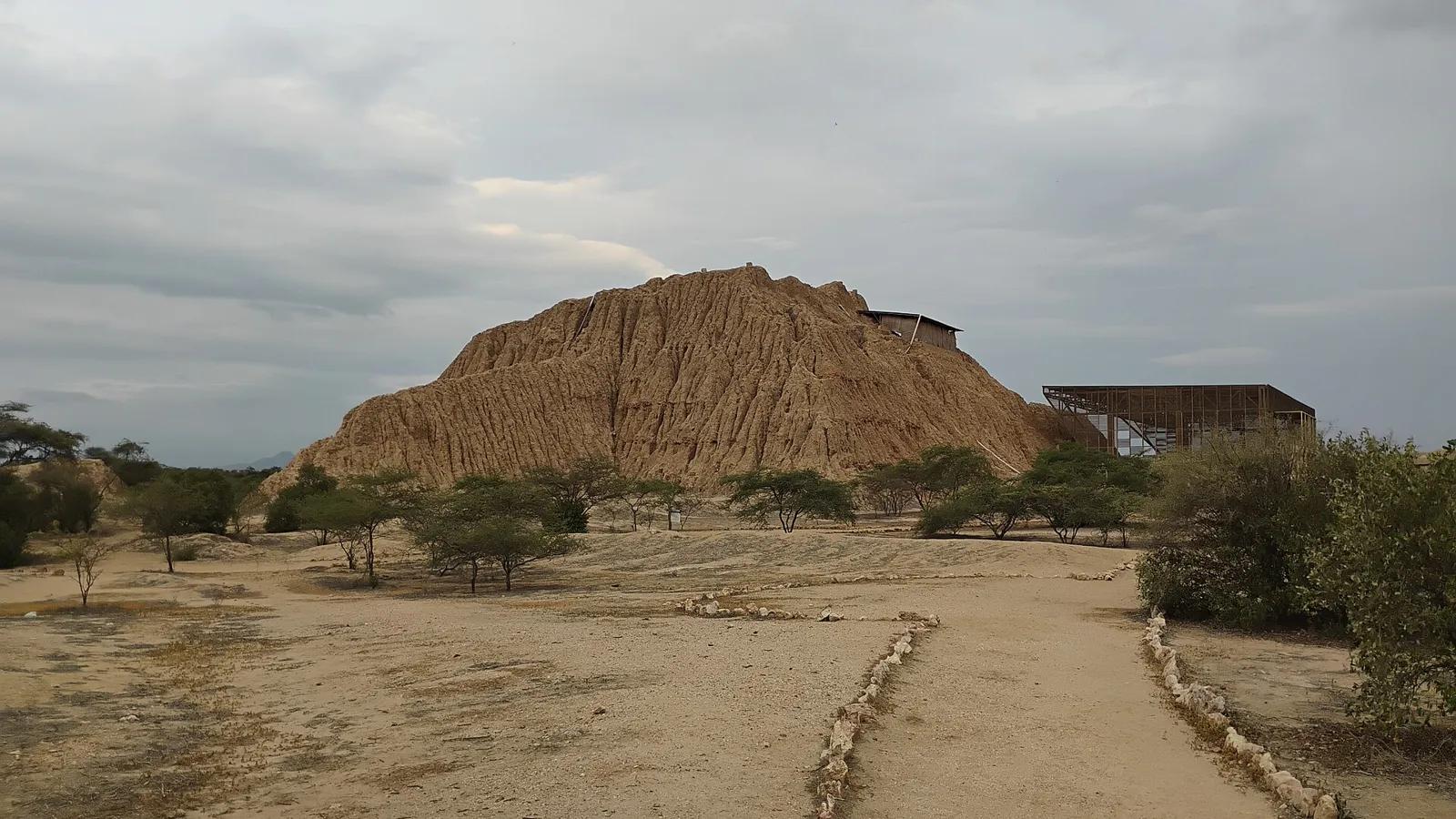 Pirâmide de adobe erodida no Complexo Arqueológico de Túcume, ao norte de Chiclayo, com trilha e algarrobos em primeiro plano