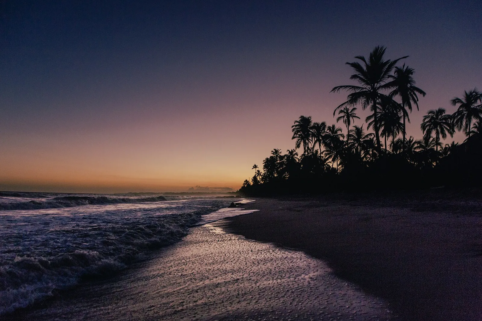 Pôr do sol na praia de Palomino com silhueta de coqueiros e mar calmo na beira da areia