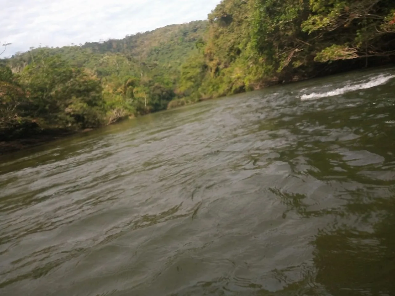 Trecho largo do rio Palomino com correnteza e mata fechada nas margens, usado para o tubing em La Guajira
