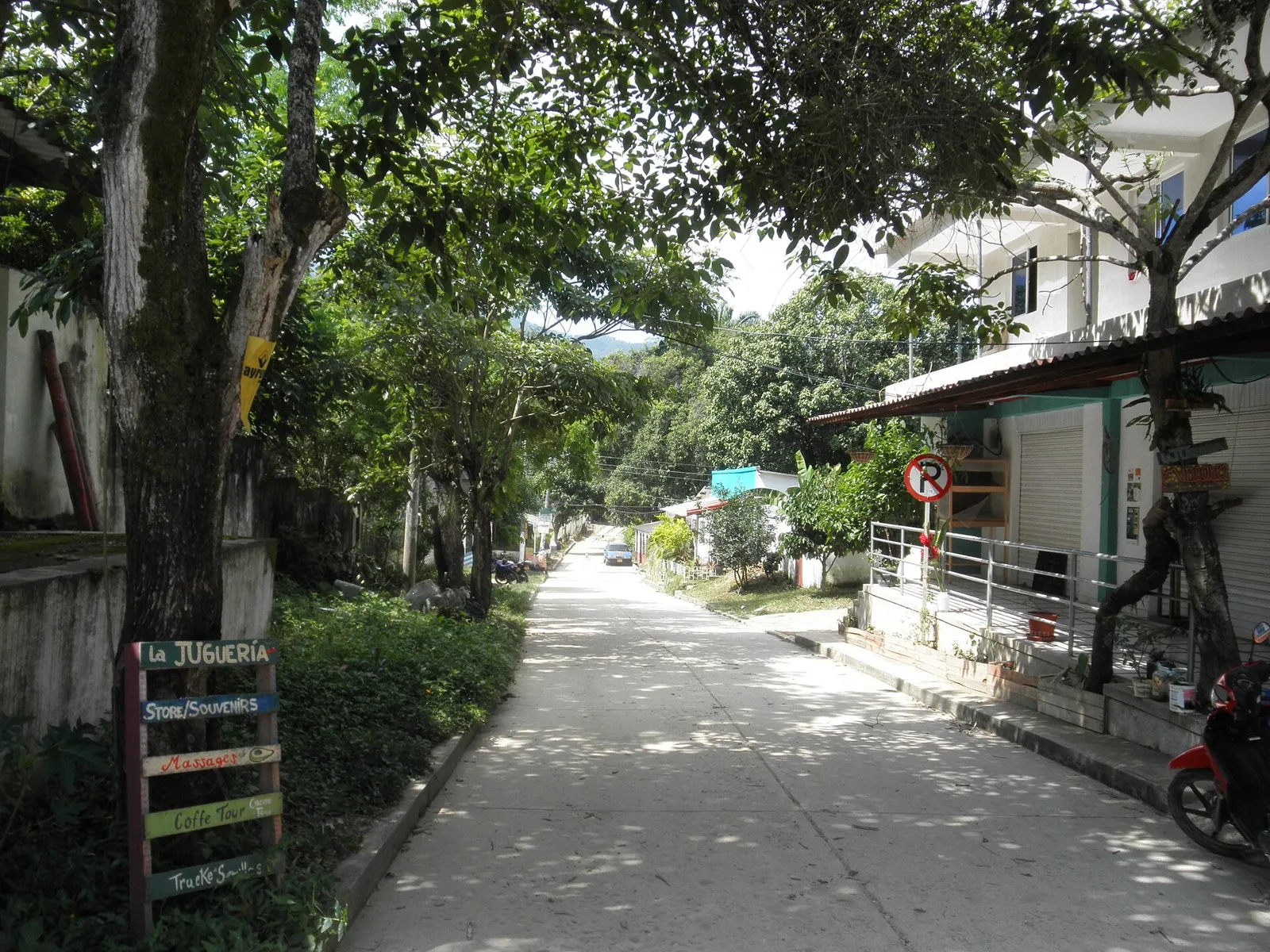 Rua principal de Minca, vilarejo na serra acima de Santa Marta, com árvores e casas baixas