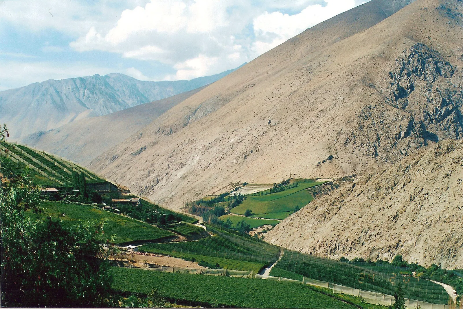 Valle del Elqui: como ir, observatórios e pisco